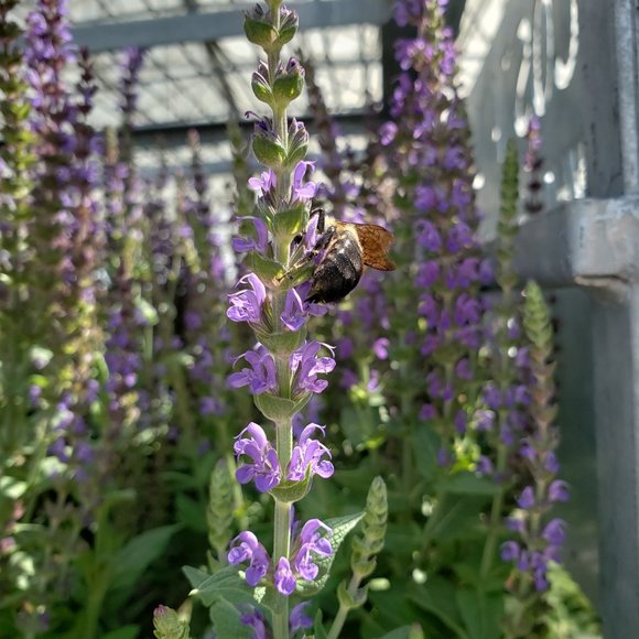 Meet your Posher, Jessica - Picture 7 of 12